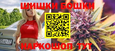 индика Жуковский